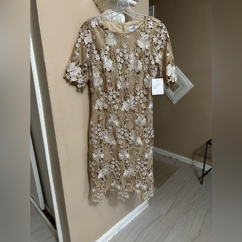 Embroidered Lace Midi Dress in Beige and Cream